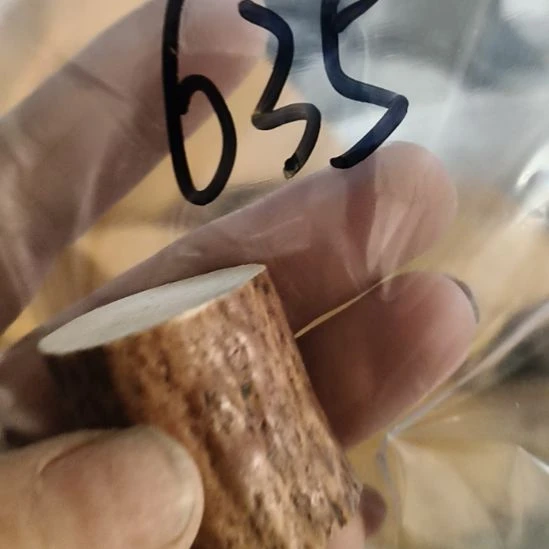 大***傅鹿角鹿角鹿角鹿角鹿角鹿角