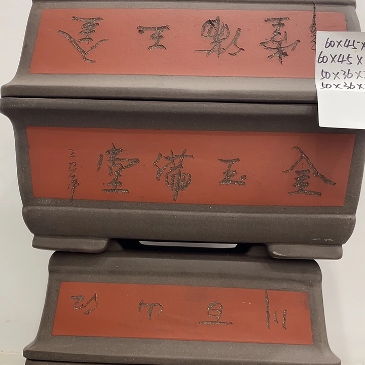 两个五十两个六十大马草
