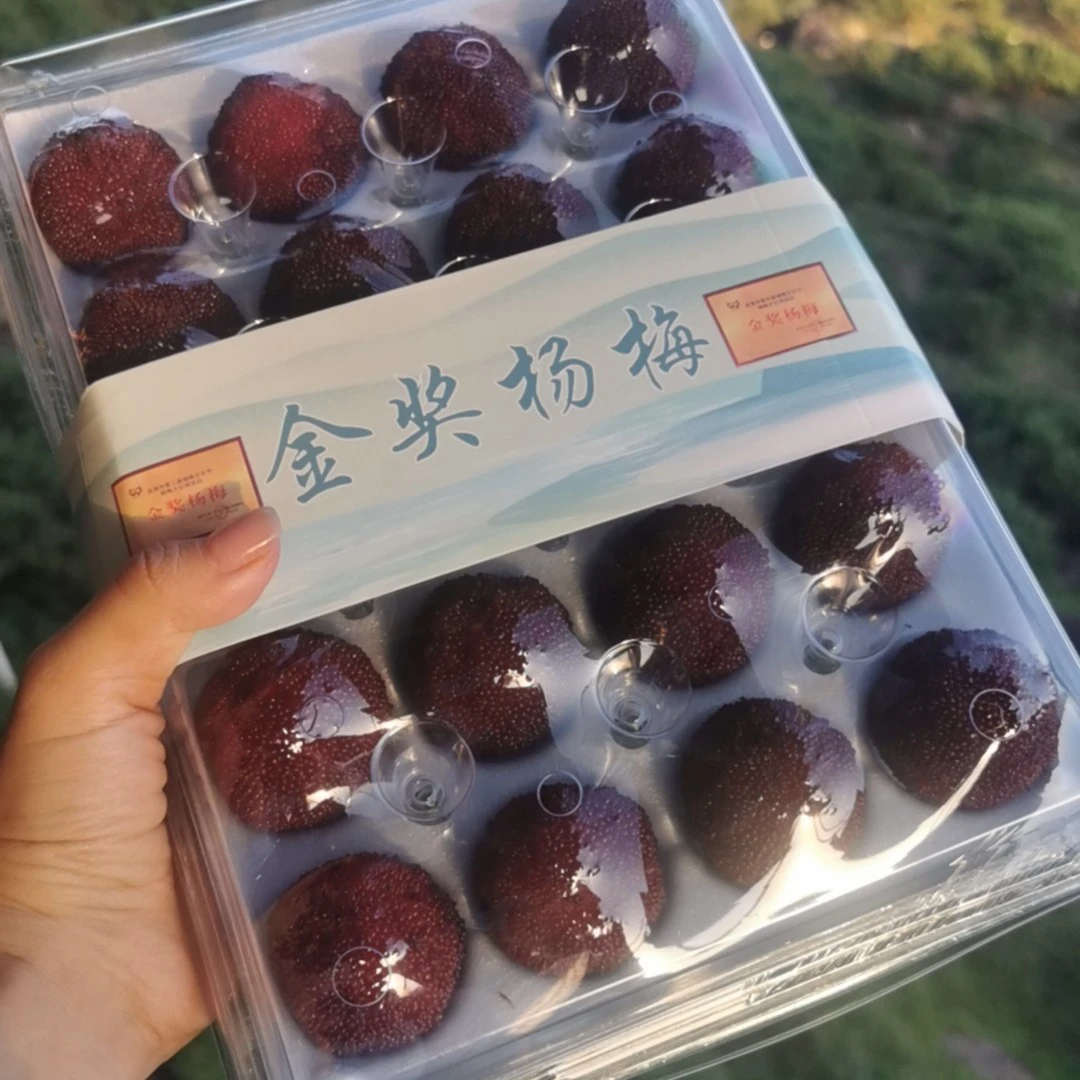 【福建省内】浮宫二十一克金奖东魁杨梅，应季水果，顺丰特快包邮