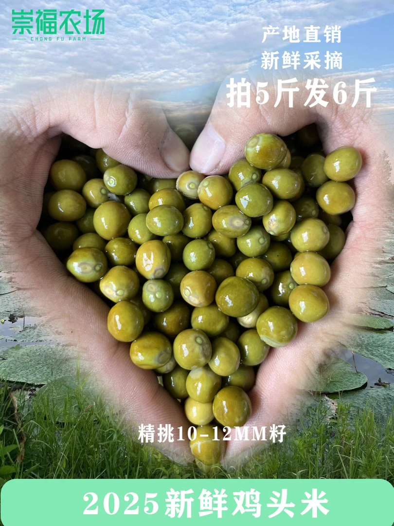 【加油吖专属】顺丰包邮潢川县2025年新货鸡头果10-12果大果1斤1包
