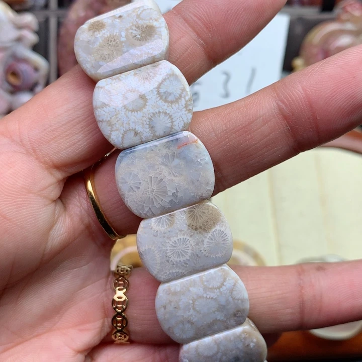 硅化珊瑚（珊瑚玉）颈饰未镶嵌