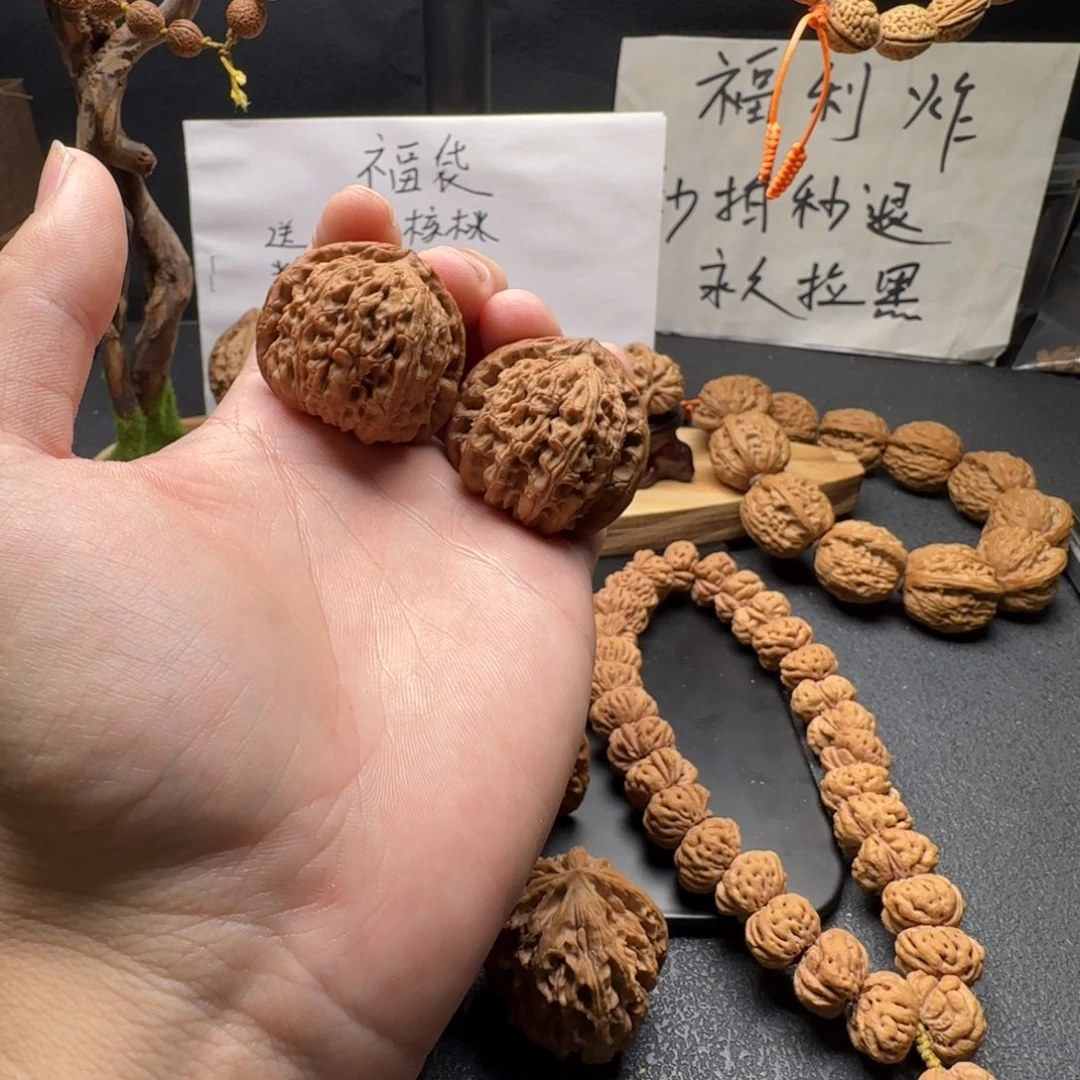 核桃全品无修白狮子