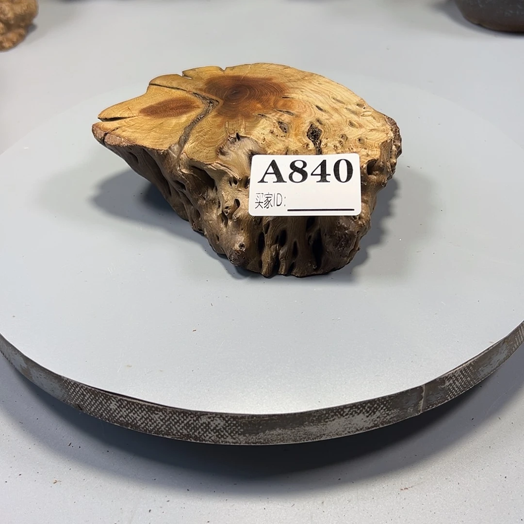 大果紫檀（缅甸花梨）萌*