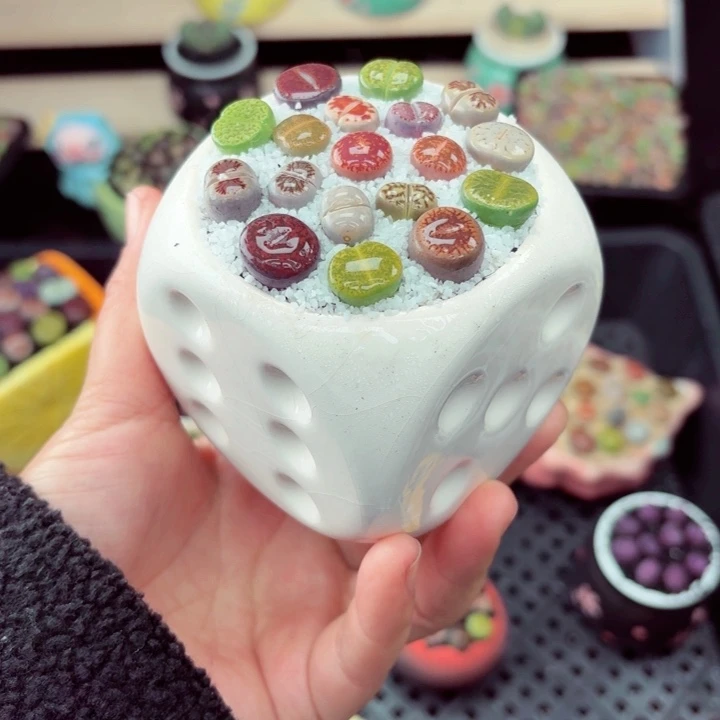 607零下地区记得拍保温箱