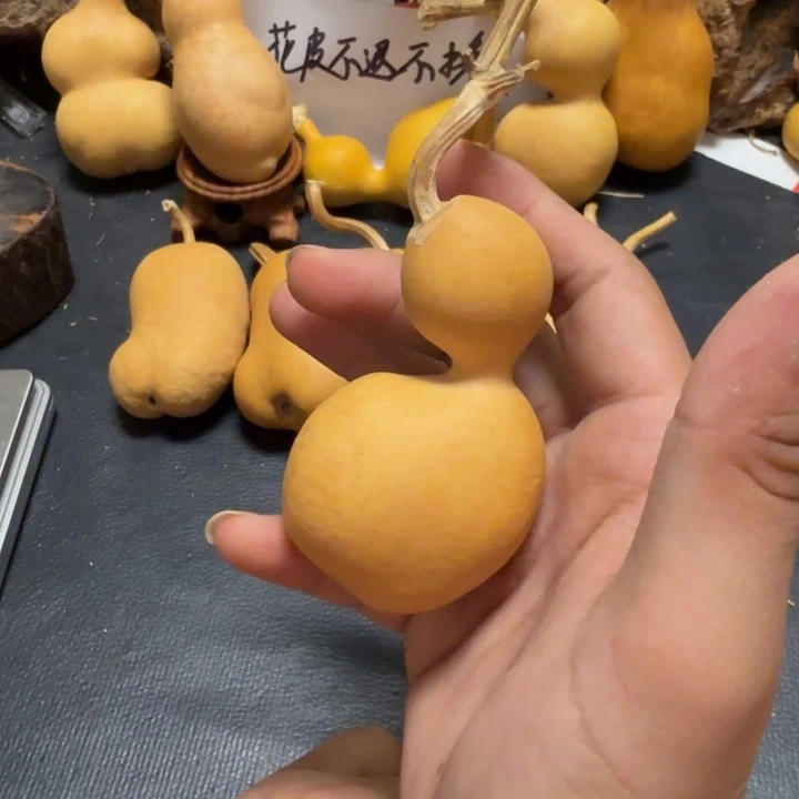 1***道888…………………………………………