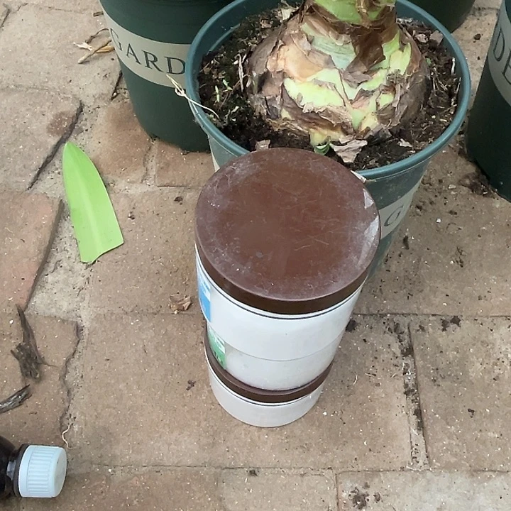 直播间高钾两瓶，送一瓶高磷