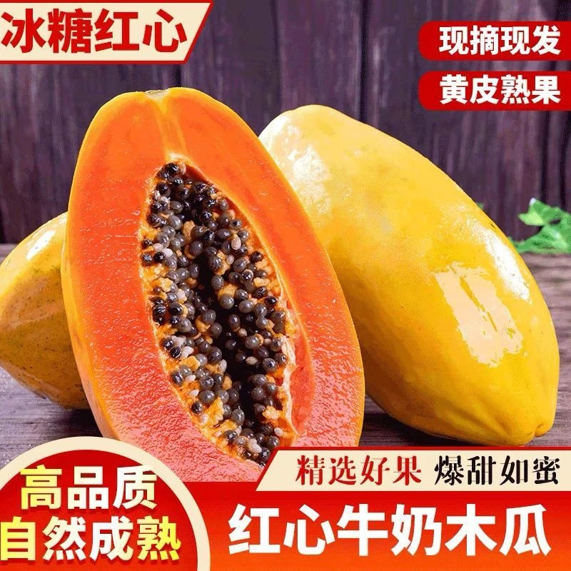 【无保鲜剂农药】新鲜云南红心牛奶木瓜【生果发货,需摆黄再食用】