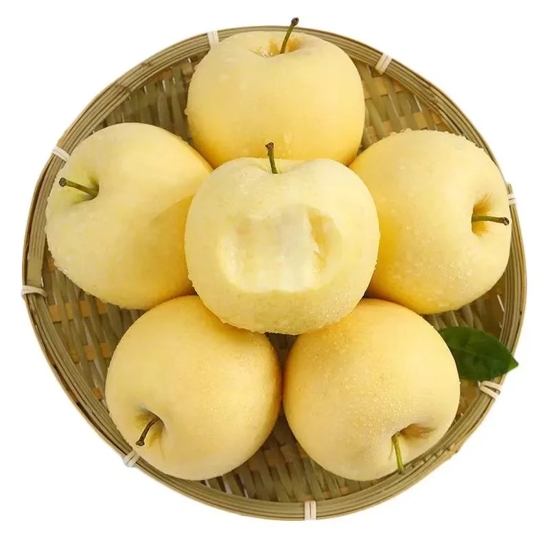山东黄金奶油富士苹果新鲜水果奶油富士