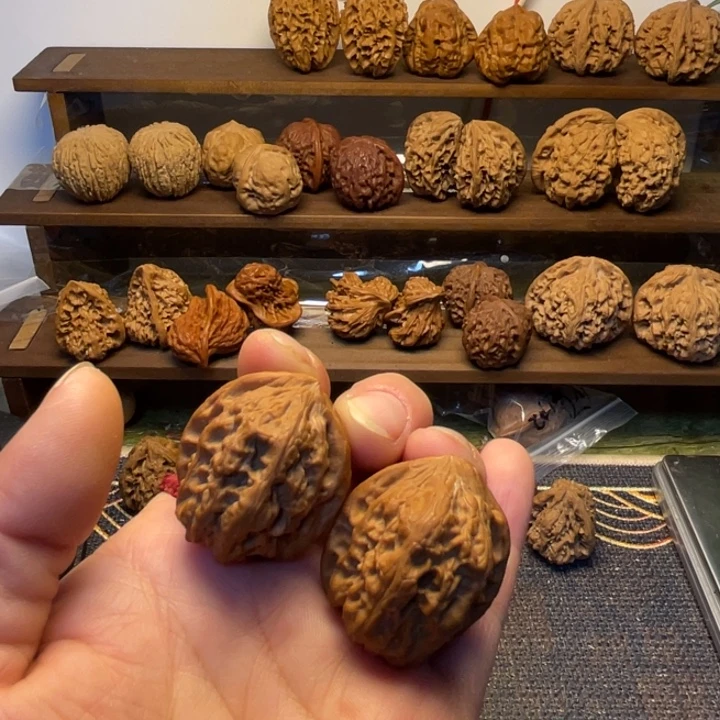 凤凰台全品31.31.32