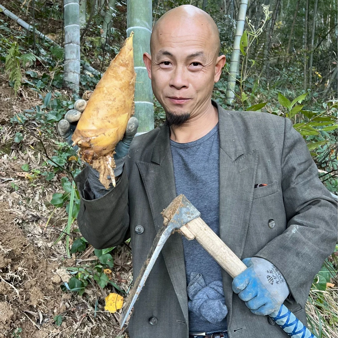 桐庐锋哥同款挖冬笋锄头