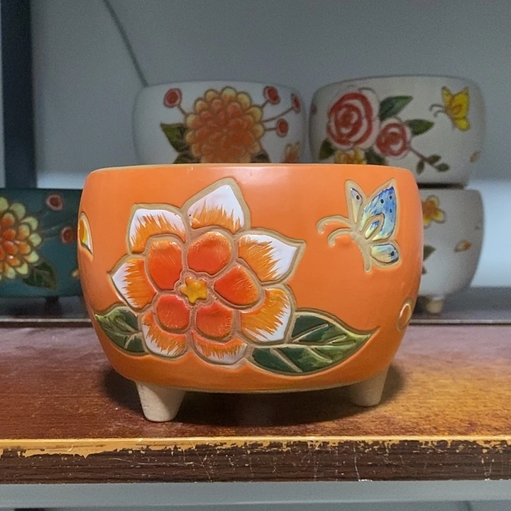 韩式多肉植物花盆