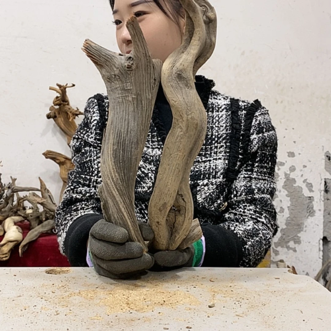 【闪购商品】柏木王*我们都是好孩子