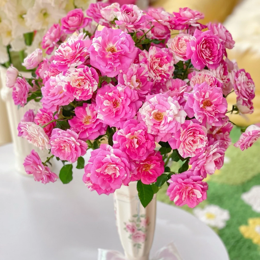 【悠米花】蓬蓬裙礼花多头玫瑰10支