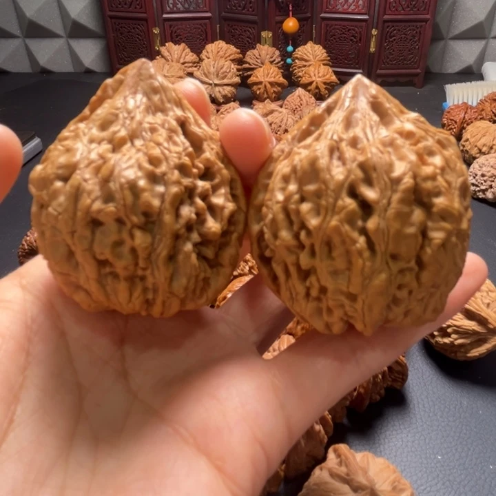 座佛44➕尺寸核桃哈哈哈哈哈哈哈哈哈