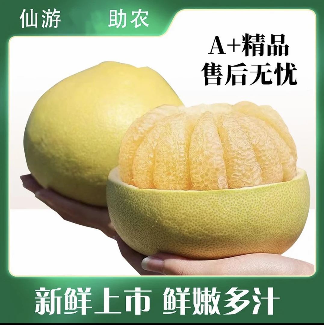 福建仙游度尾文旦柚正宗老树当季新鲜现摘孕妇水果A