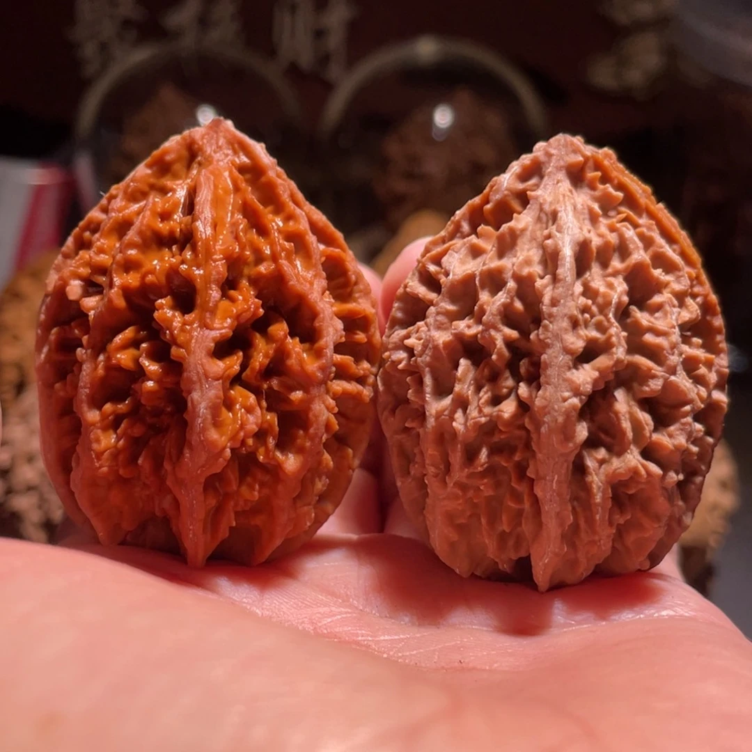 文玩核桃吊坠4****7双子座流星雨22