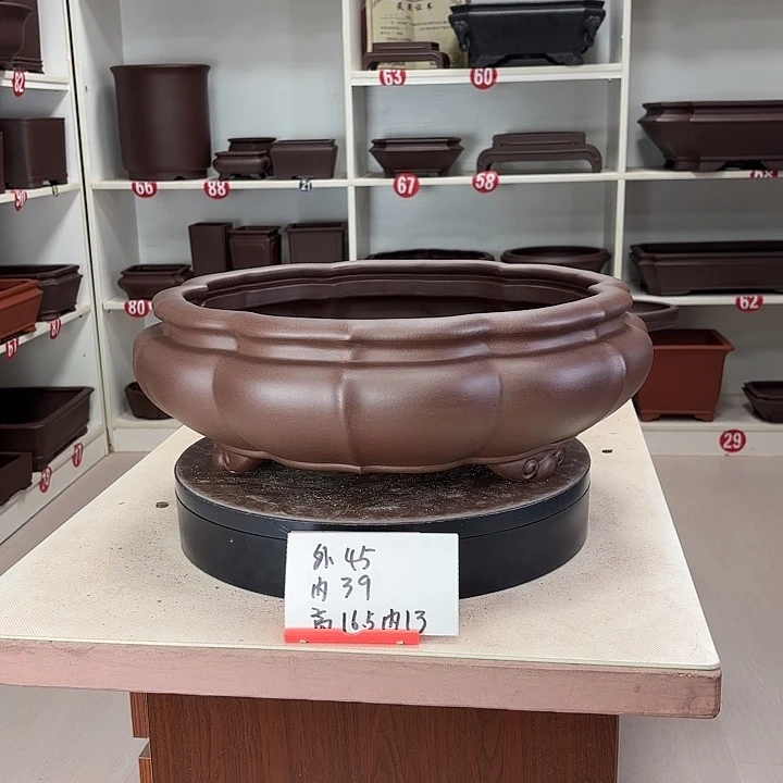 花盆紫砂莲台观心大