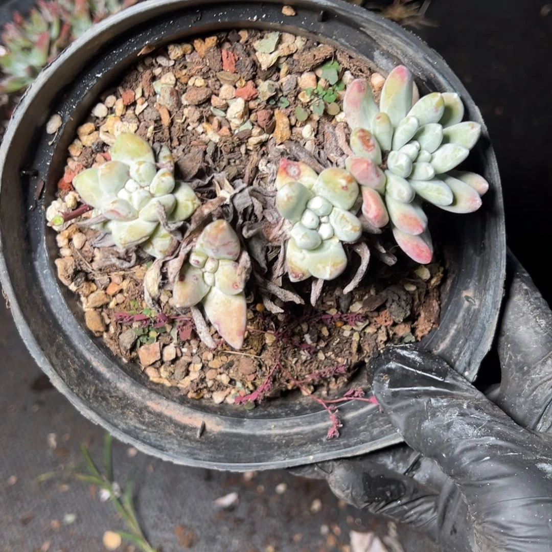 4677哈哈哈哈哈哈哈哈