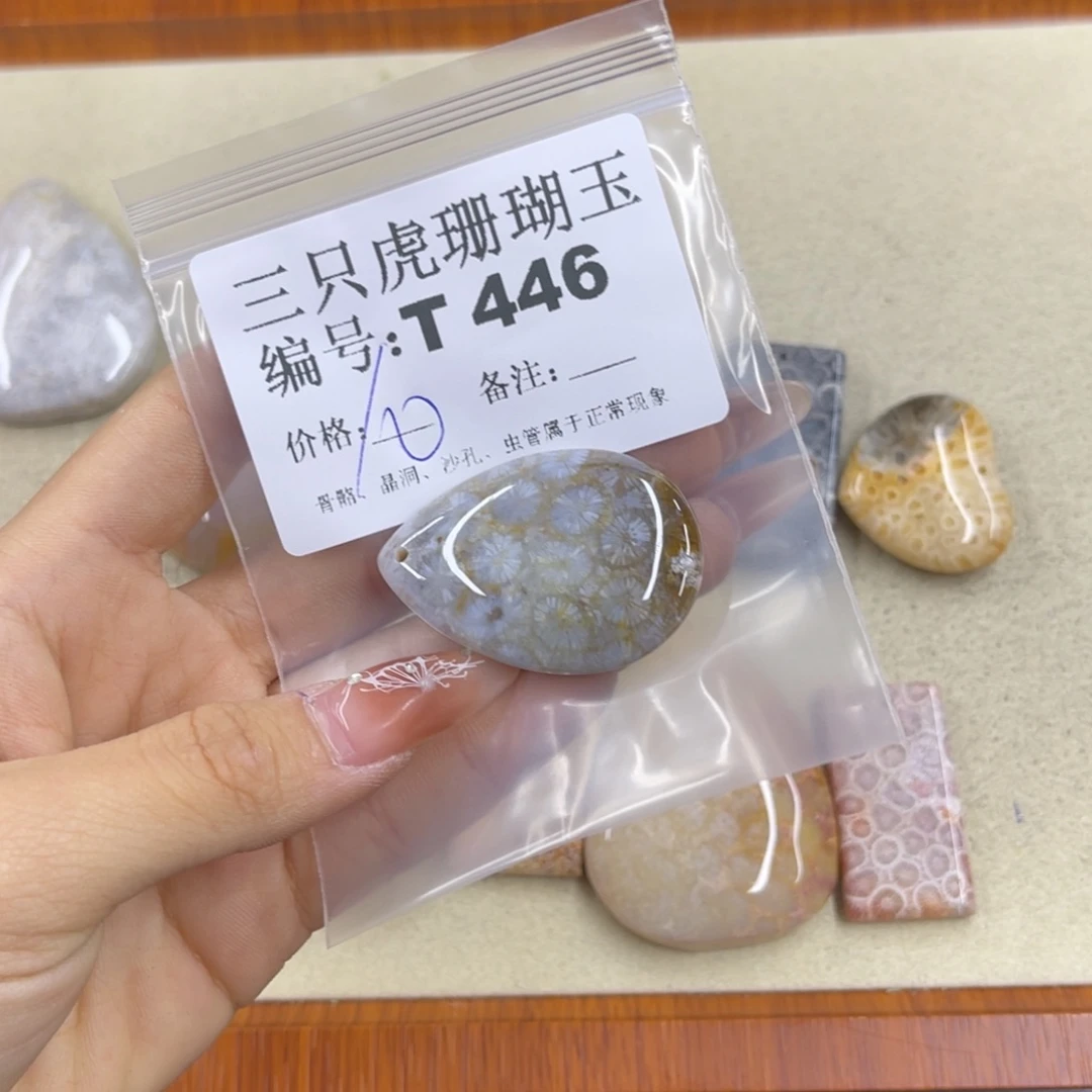 凉***硅化珊瑚（珊瑚玉）h未镶嵌