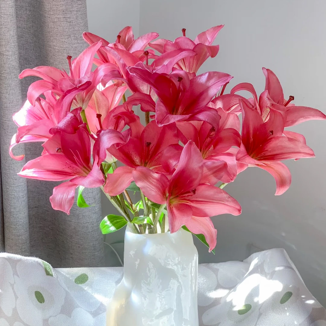 云南木木花卉紫霞仙子 稀有单瓣亚百合花 客餐厅高级家居装饰插花