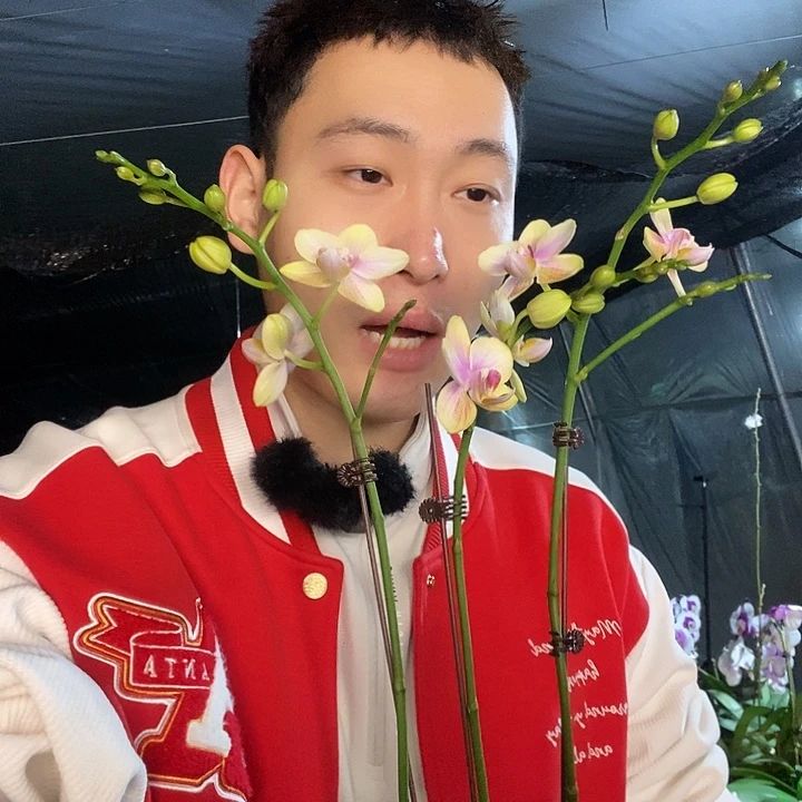 无花朵祥云3花剑开花