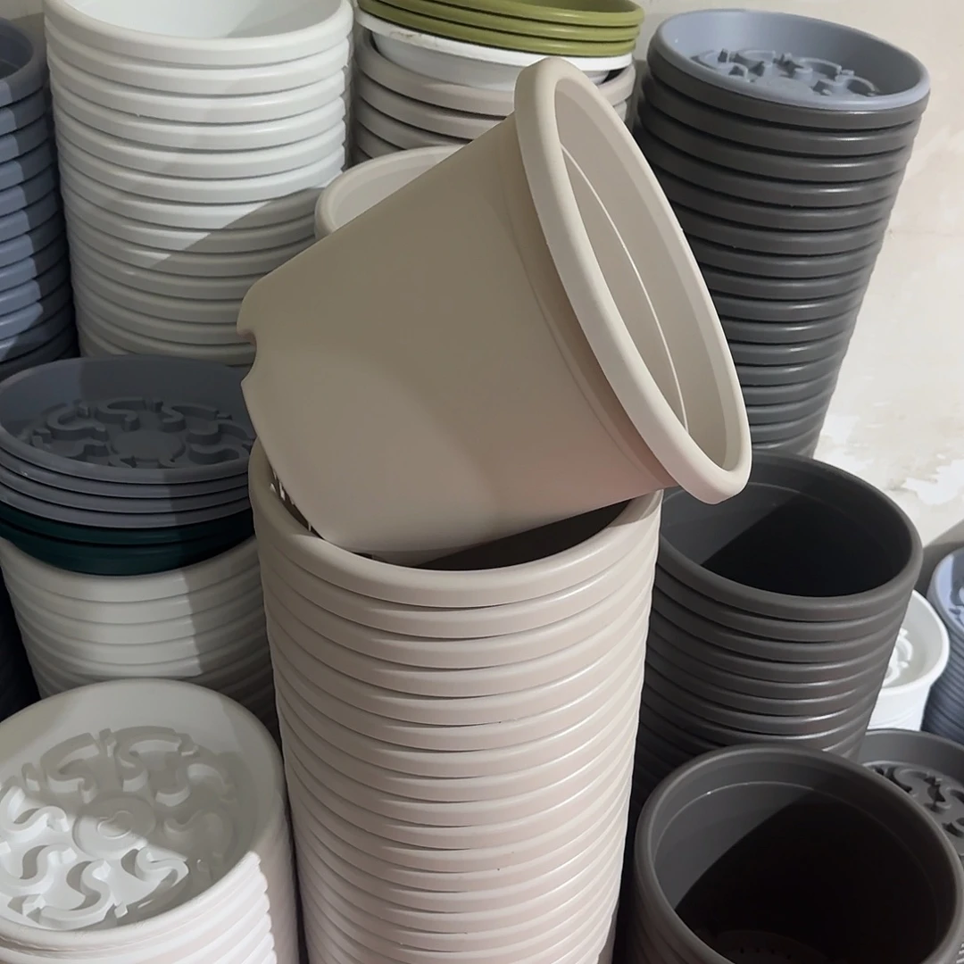 微瑕5号6个无托，灰白