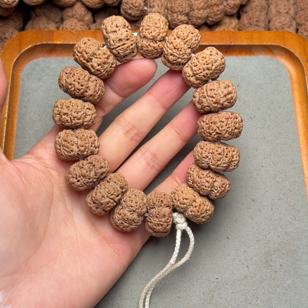 菩提2号金刚菩提梁蜂王23+夹板