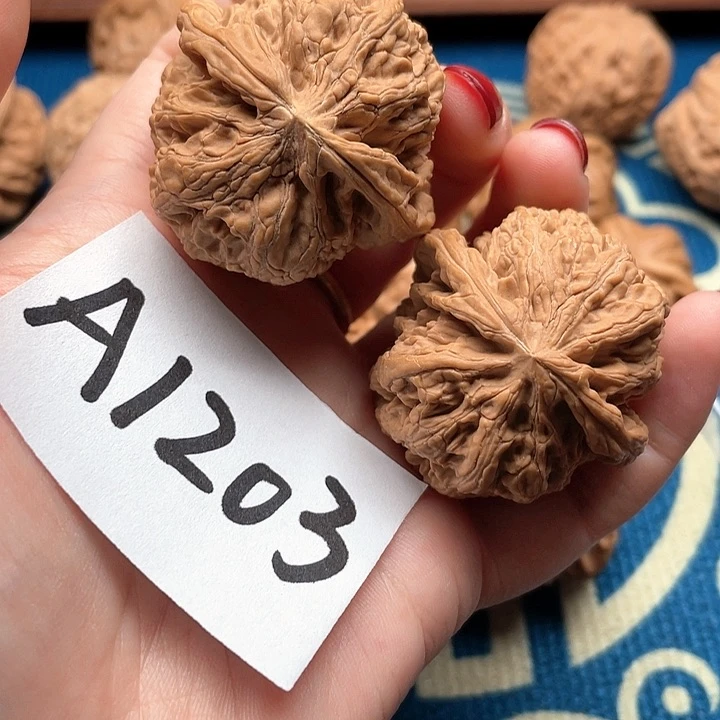 文玩核桃把件将军5米11111111111