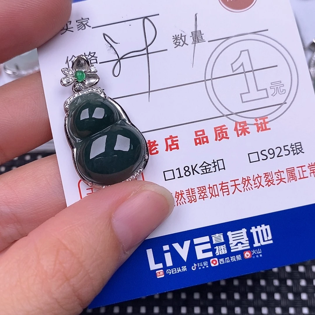 黑***芽翡翠银S925镶嵌颈饰