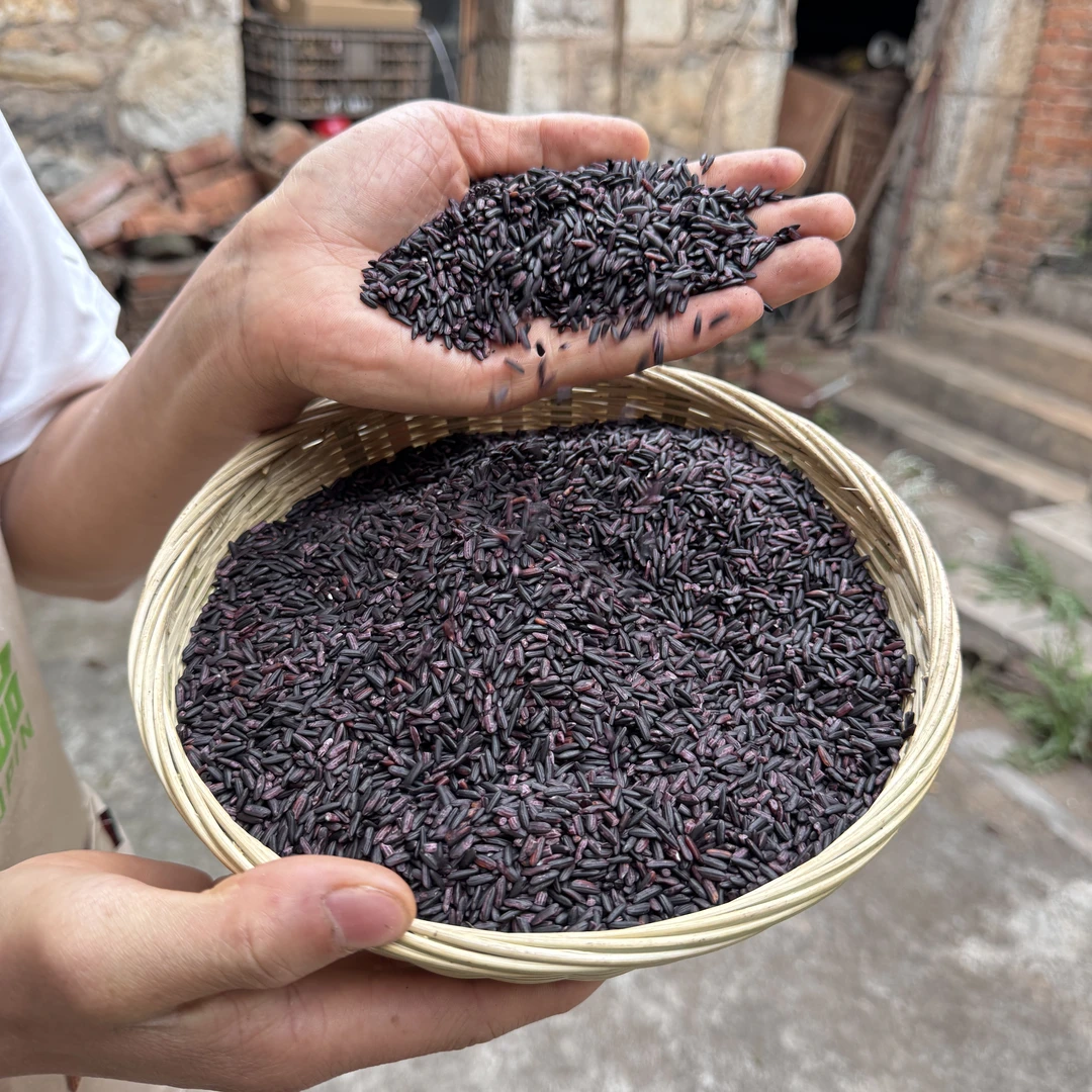 到手三斤装云南西双版纳紫糯米