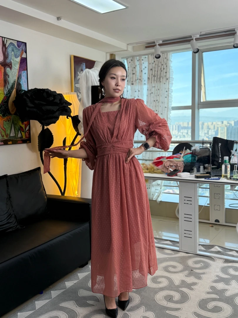 2025最新款雪纺气质淑女连衣裙时尚复古