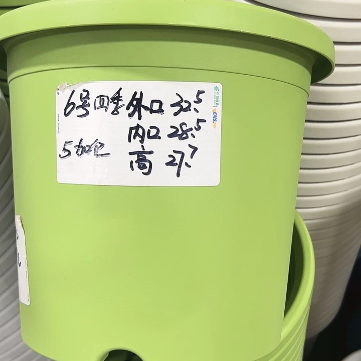 特价6号口32.5高27白色5只无托