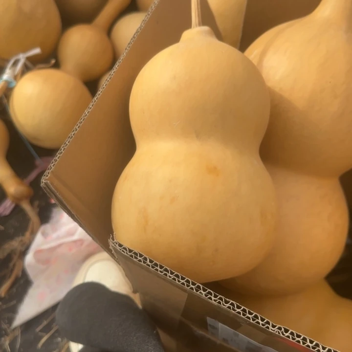 咕噜咕噜咕噜咕噜咕噜咕噜