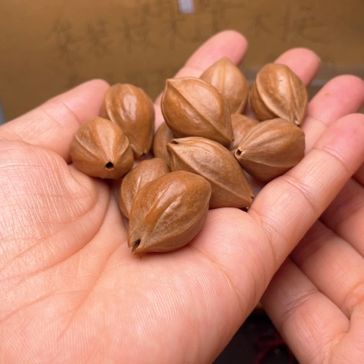 橄榄核手串/手链橄榄核1.8✖️28铁核