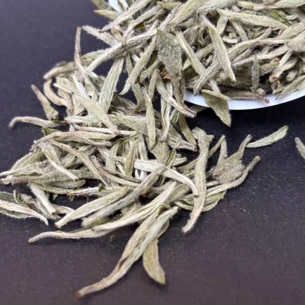 【春隆上品】2025年针好白毫银针50克-500克分享