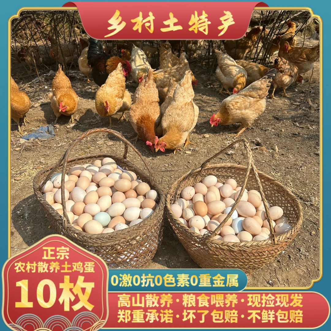 九华山高山农家农民粮食五谷散养新鲜土鸡草鸡蛋现捡现发10枚试吃