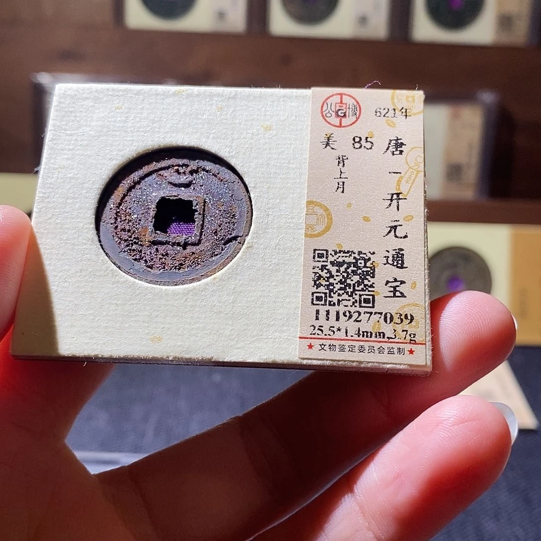 贝壳13 恭喜发财恭喜发财