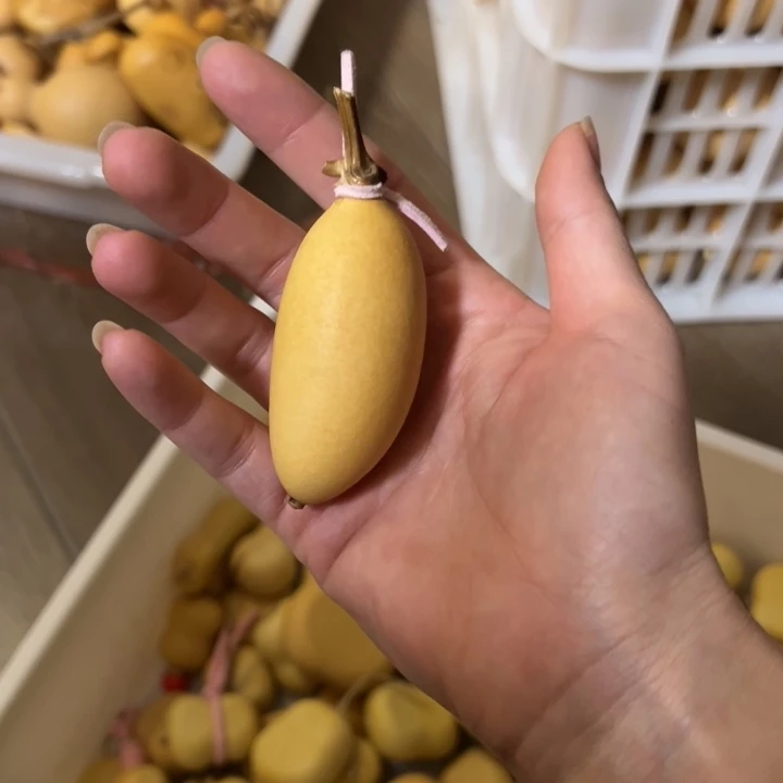 ****葫芦葫芦葫芦葫芦葫芦