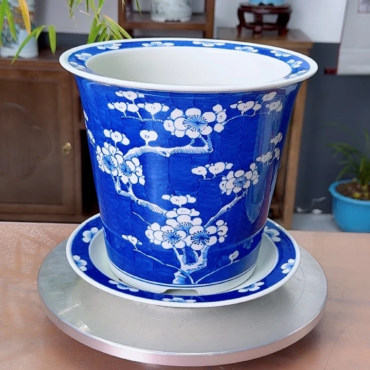 明***珠青花冰梅888888888