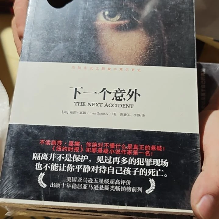 下一个意外平装微瑕