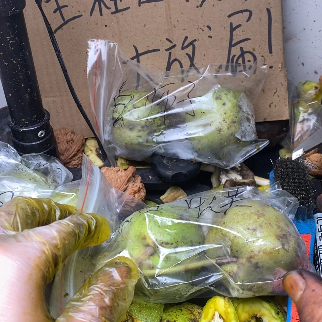核桃文玩11111111