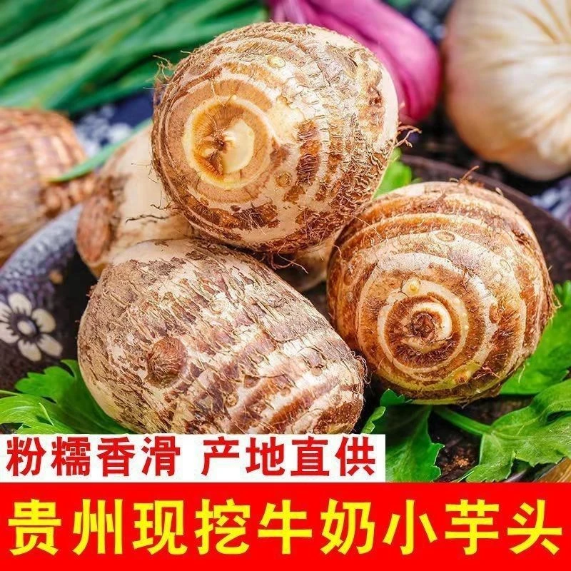 牛奶芋头新鲜芋艿小芋头香芋农家香甜软糯毛芋头