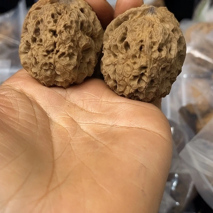 核桃云南铁核桃基地51