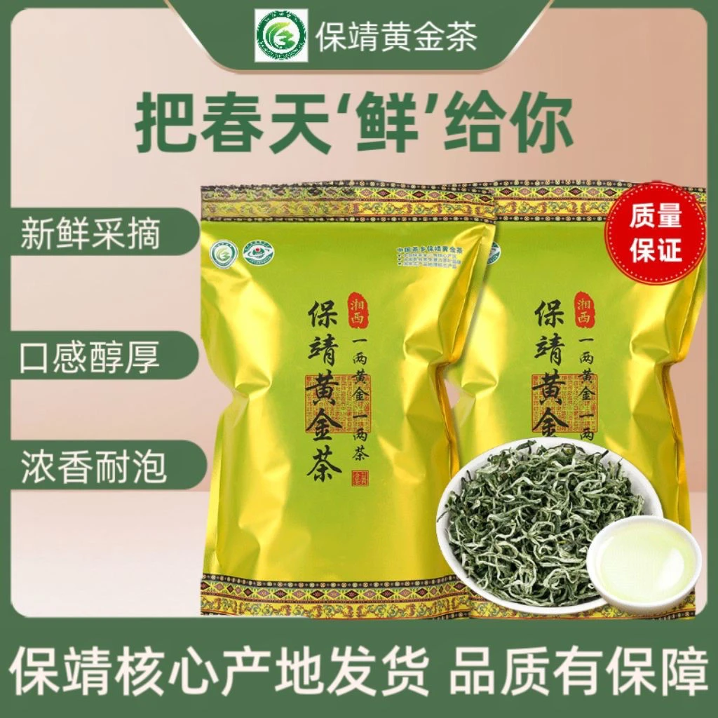 湘西保靖黄金茶春茶绿茶香浓耐泡高性价比自饮茶叶送礼佳品