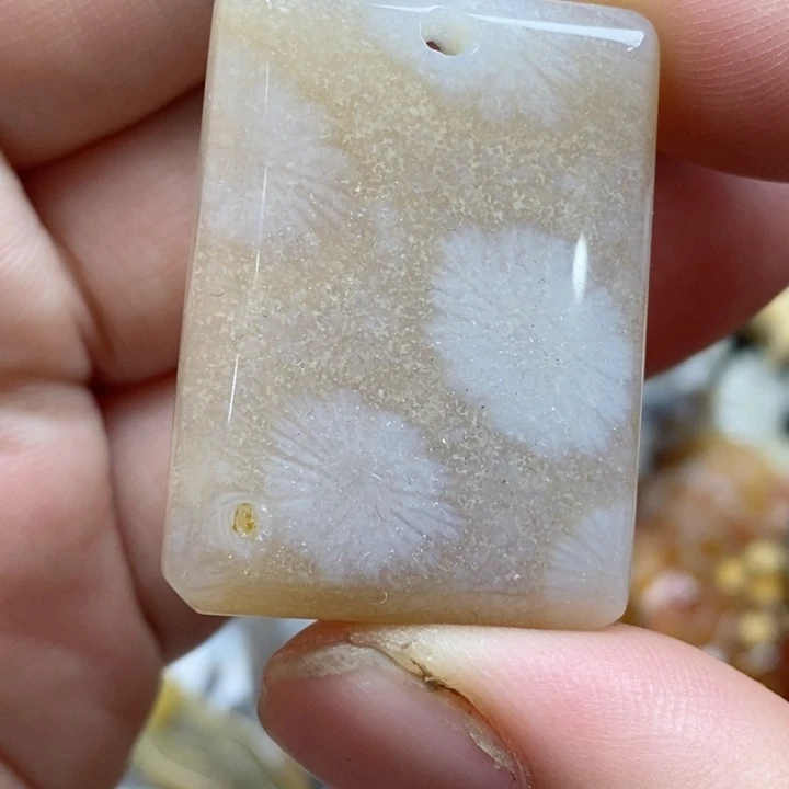 颈饰未镶嵌硅化珊瑚（珊瑚玉）
