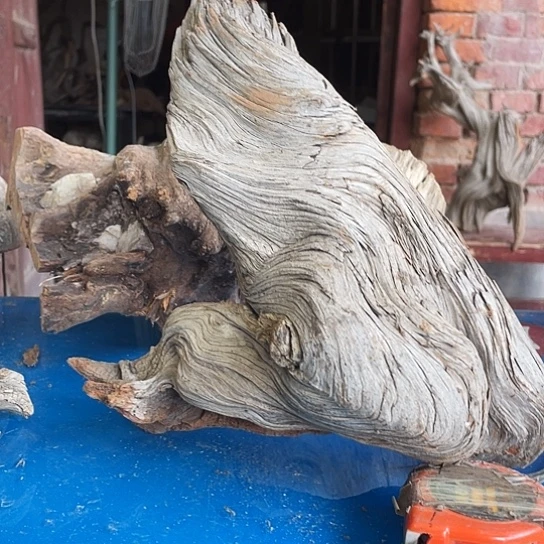 用***8柏木崖柏崖柏呀啊雅吧