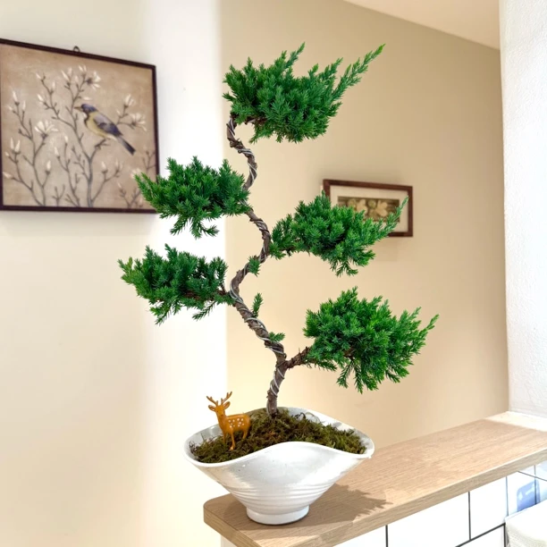 迎客松五层塔盆栽盆景室内客厅办公室桌面观叶趣味好养花卉绿植