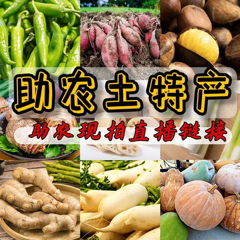 秋湖村助农土特产干辣椒