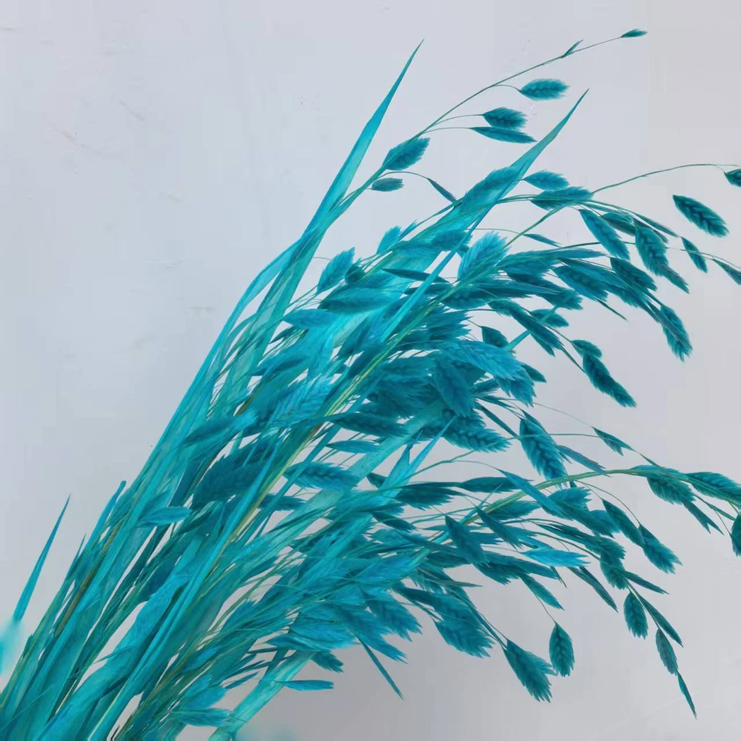 永生花小盼草网红气质花束手工diy家居装饰插花材