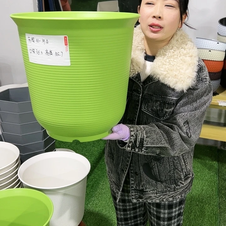 正品高陶口36高36果绿3只无托